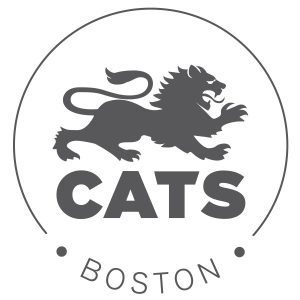 CATS ACADEMY BOSTON